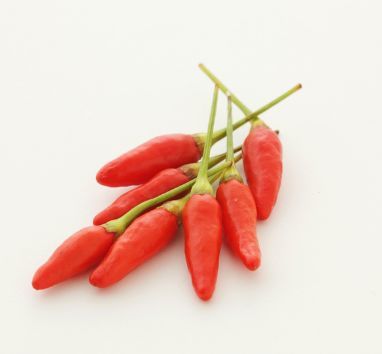 Bird Eye Chili Rot – Kleine Schoten mit feuriger Schärfe chili Obstwelt 