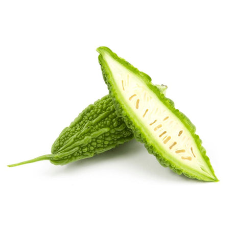 Bittergurke Exoten Obstwelt 