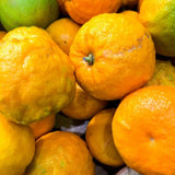 Bitterorangen (Pomeranzen) – Zitrusfrucht mit herber Eleganz Exoten Obstwelt 