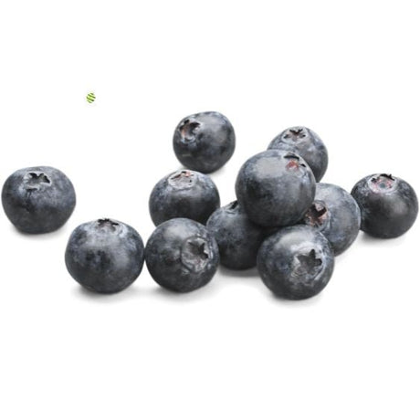Blaubeerpüree von PONTHIER – Mild-süß für Bowls, Torten & Cocktails Fruchtpüree Obstwelt 