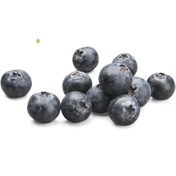 Blaubeerpüree von PONTHIER – Mild-süß für Bowls, Torten & Cocktails Fruchtpüree Obstwelt 