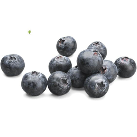 Blaubeerpüree von PONTHIER – Mild-süß für Bowls, Torten & Cocktails Fruchtpüree Obstwelt 