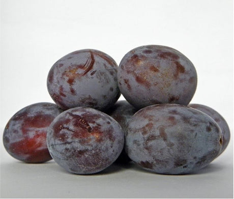 Frische Blaue Pflaumen mit dunkelvioletter Schale