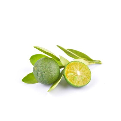 Calamansi Püree von PONTHIER – Exotisch-säuerlich für Bar & Dessert Fruchtpüree Obstwelt 