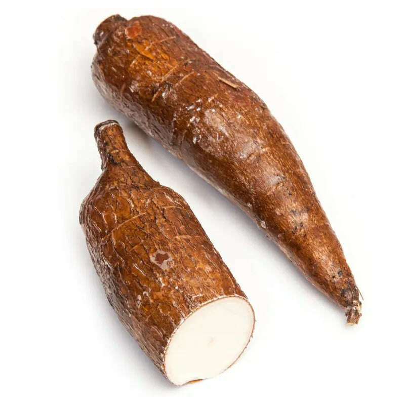 Cassave (Maniok) – Exotische Wurzel Gemüse Obstwelt 