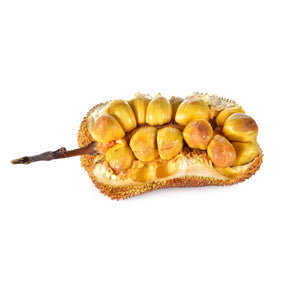 Cempedak – seltene Tropenfrucht mit cremig-süßem Aroma Exoten Obstwelt 