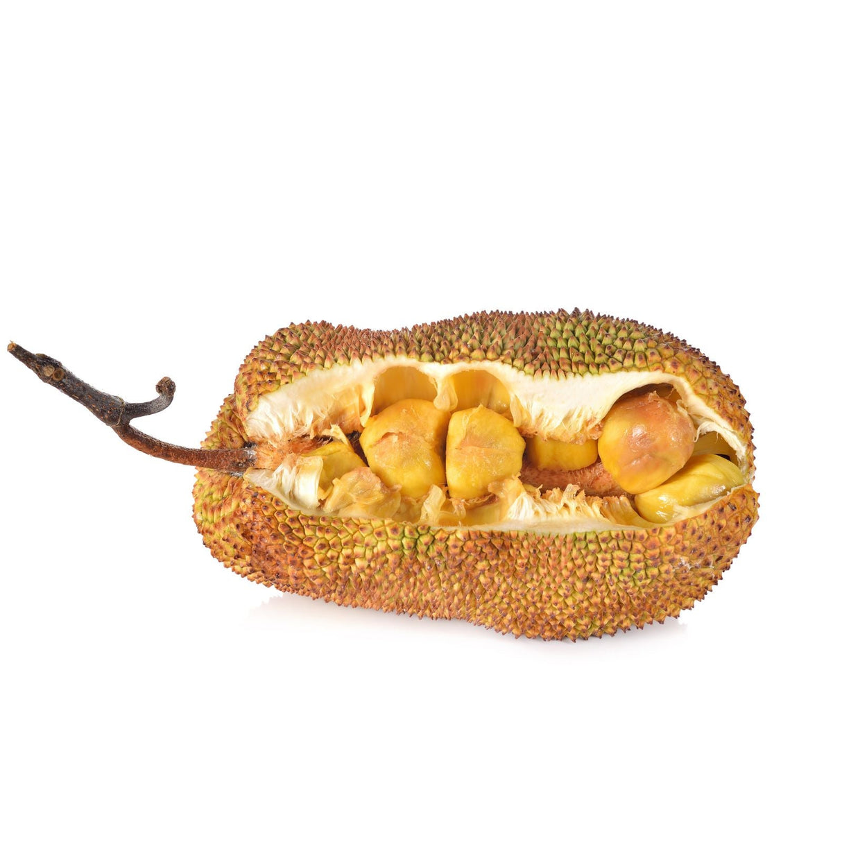 Geöffnete Cempedak mit sichtbaren Fruchtkammern