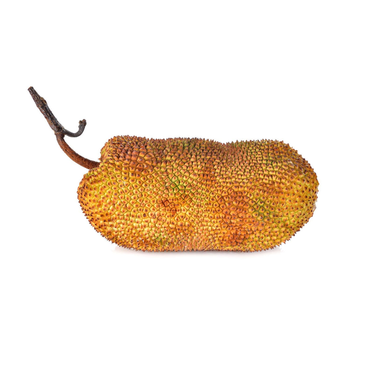 Ganze Cempedak-Frucht in Nahaufnahme