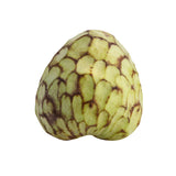 Cherimoya – Die cremige Zuckerapfelfrucht Exoten Obstwelt 