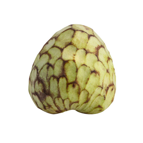 Cherimoya – Die cremige Zuckerapfelfrucht Exoten Obstwelt 