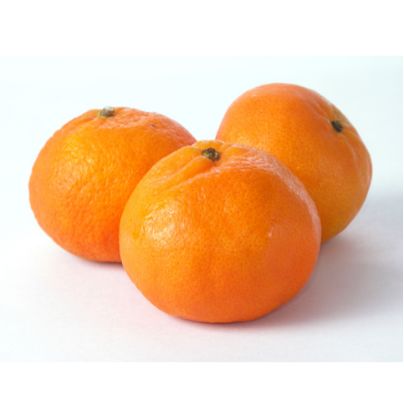 Clementine Nadorcott – Süß, saftig & kernlos aus sonnigem Anbau Obst Obstwelt 