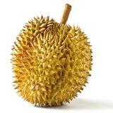 Exotische Durian Frucht als König der Früchte online bestellen
