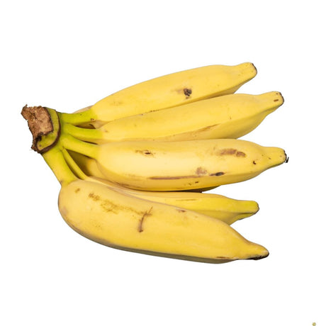Elaichi-Bananen – Aromatische Minibanane Exoten Obstwelt 