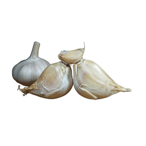 Elefantenknoblauch Gemüse Obstwelt 