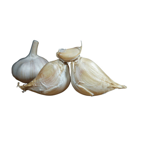 Elefantenknoblauch Gemüse Obstwelt 