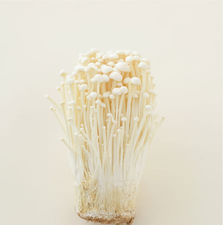 Enoki Pilze – Zart & mild für asiatische & vegane Küche Pilze Obstwelt 