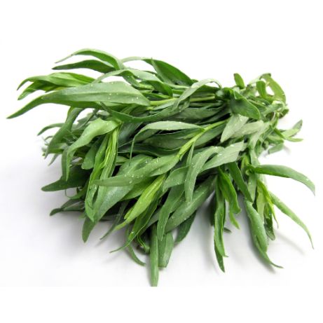 Estragon – Edles Würzkraut für feine Küche Gewürz Obstwelt 