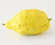 Etrog Zitronatzitrone mit gelber aromatischer Schale