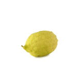 Etrog – Aromatische Zitrusfrucht Exoten Obstwelt 