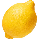 Eureka Zitronen – saftige Premium-Zitronen mit aromatischer Schale Obst Obstwelt 