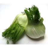 Fenchel Gemüse Obstwelt 