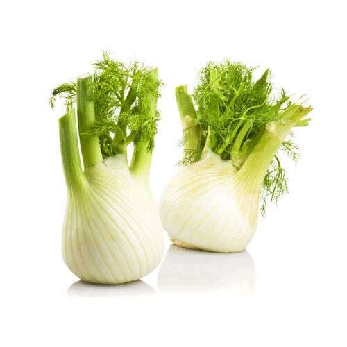 Fenchel Gemüse Obstwelt 