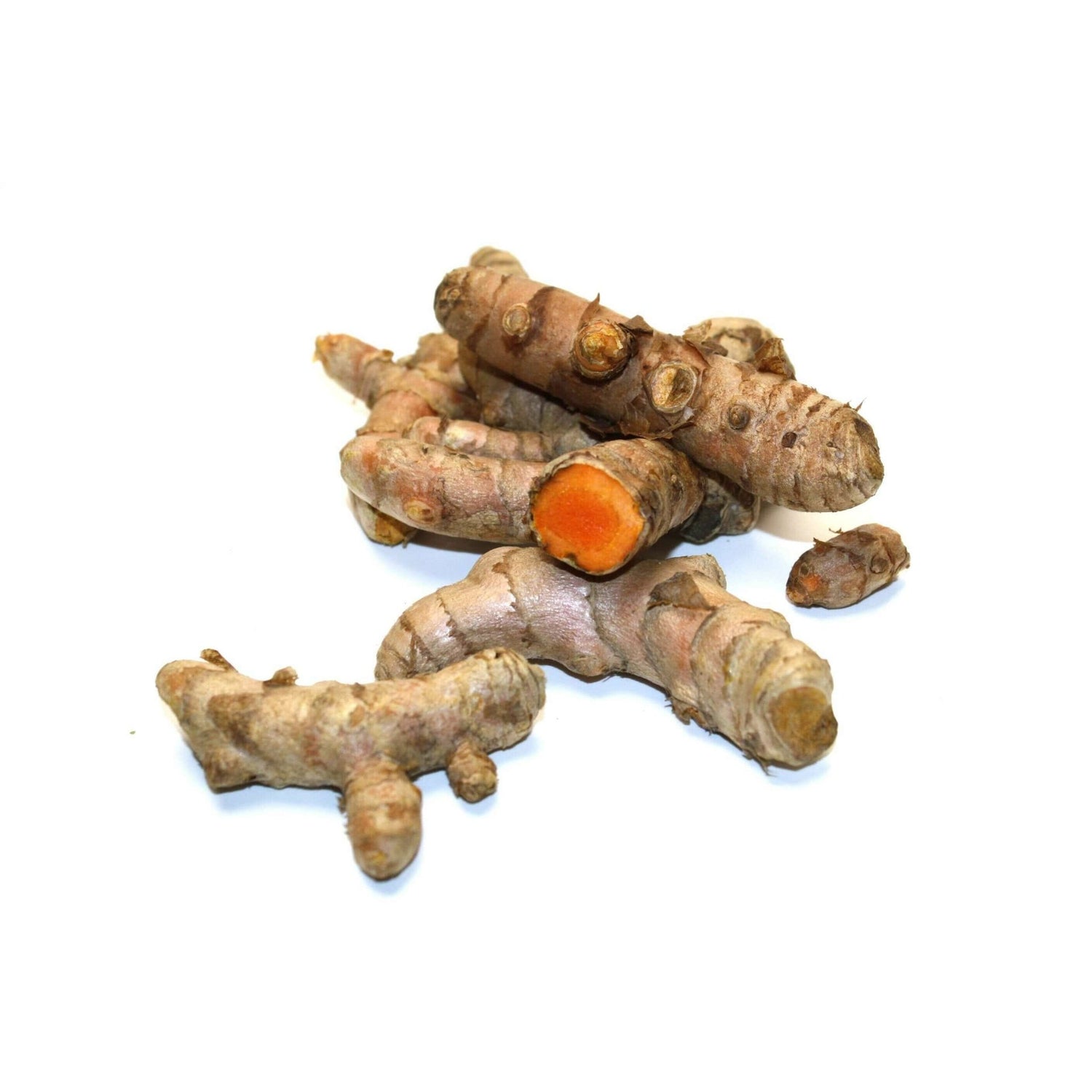 aufbewahrung kurkumawurzel Frischer Kurkuma kaufen | Aromatische Wurzel