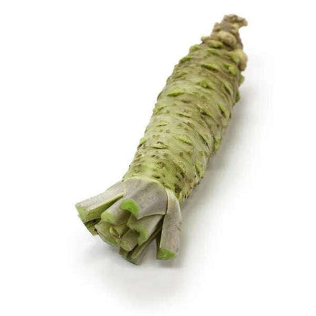 Frischer Wasabi als echtes grünes Wasabi-Rhizom