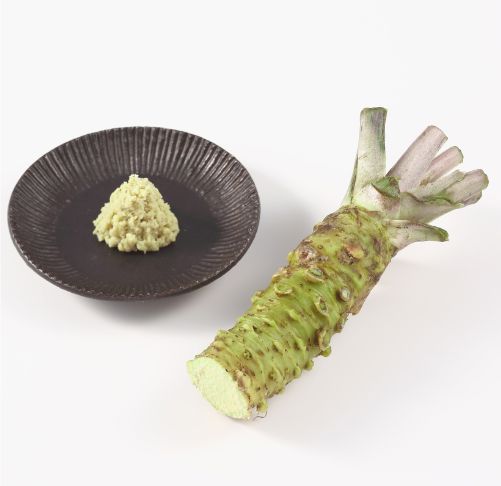 Frischer Wasabi – Echter Genuss für Sushi & Feinschmecker Exoten Obstwelt 