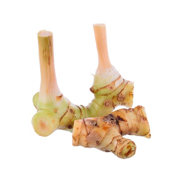 Galanga-Wurzel – Asiatische Schärfe für Küche Exoten Obstwelt 