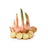 Galanga-Wurzel – Asiatische Schärfe für Küche Exoten Obstwelt 
