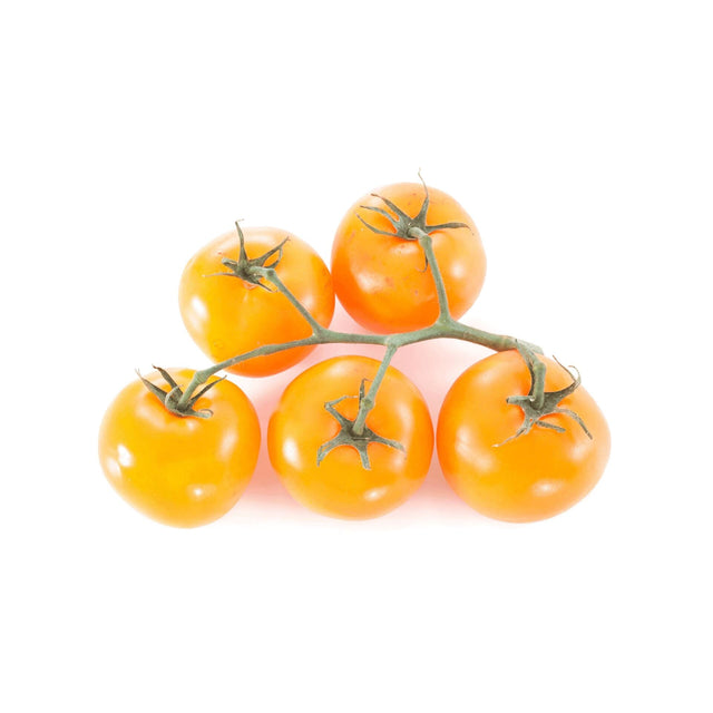 Gelbe Strauchtomaten – Süß-aromatische Tomaten Gemüse Obstwelt 