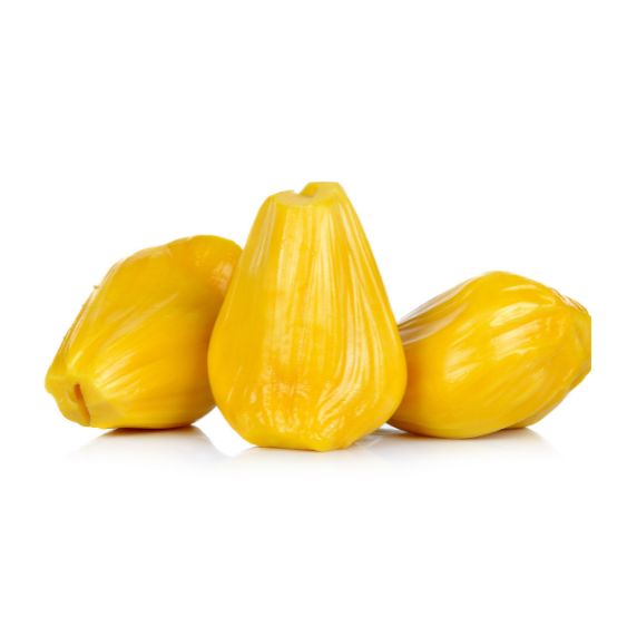 Geschälte Jackfrucht – Exotische Fleischalternative vegan Exoten Obstwelt 