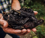 Getrocknete Ancho Chili mit dunkelroter bis brauner Schale