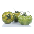 Grüne Zebra Tomaten mit grün-gelber Streifenzeichnung