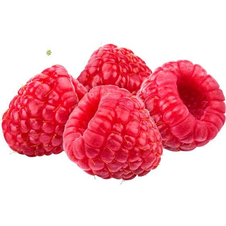 Himbeerpüree von PONTHIER – Intensives Aroma für Dessert & Drink Fruchtpüree Obstwelt 