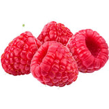 Himbeerpüree von PONTHIER – Intensives Aroma für Dessert & Drink Fruchtpüree Obstwelt 