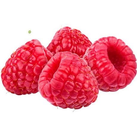 Himbeerpüree von PONTHIER – Intensives Aroma für Dessert & Drink Fruchtpüree Obstwelt 