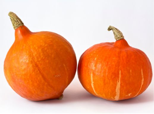 Hokkaido Kürbis – Nussig & aromatisch für Herbstgerichte Gemüse Obstwelt 