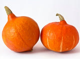 Hokkaido Kürbis – Nussig & aromatisch für Herbstgerichte Gemüse Obstwelt 