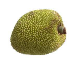 Ganze Jackfrucht mit genoppter Schale als Produktansicht