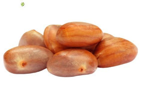 Jackfrucht Kerne als essbare Samen der Jackfrucht