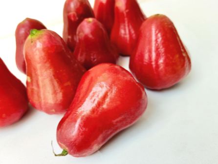 Javaapfel – Knackige Tropenfrucht mit erfrischender Leichtigkeit Exoten Obstwelt 