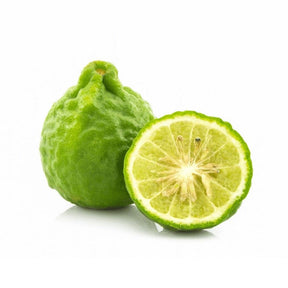 Kaffir Limette Makrut Limette mit grüner runzeliger Schale