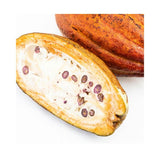 Kakaofrucht – Exotische Frucht mit dem Ursprung von Schokolade Exoten Obstwelt 