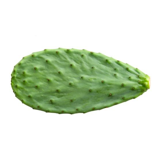 Kaktusblätter Nopales kaufen bei Obstwelt.com