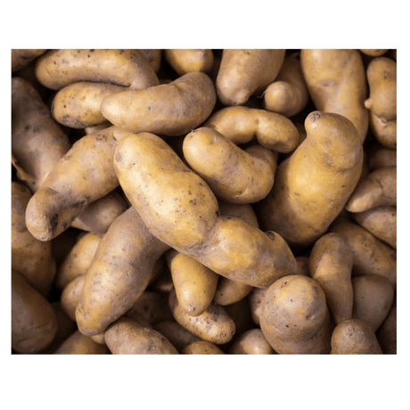 Kartoffeln 'La Ratte' – Festkochende Gourmet-Kartoffel mit nussigem Aroma Gemüse Obstwelt 