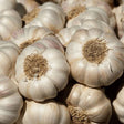 Knoblauch kaufen bei Obstwelt.com