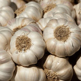 Knoblauch kaufen bei Obstwelt.com