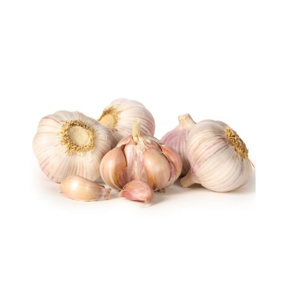Frischer Knoblauch mit weißen Knollen und einzelnen Zehen